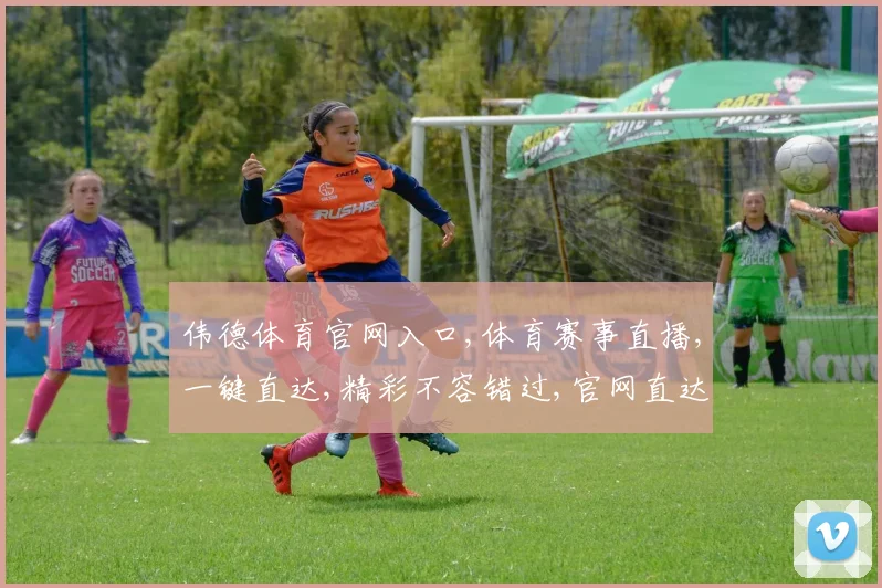 伟德体育官网入口,体育赛事直播,一键直达,精彩不容错过,官网直达通道,轻松体验
