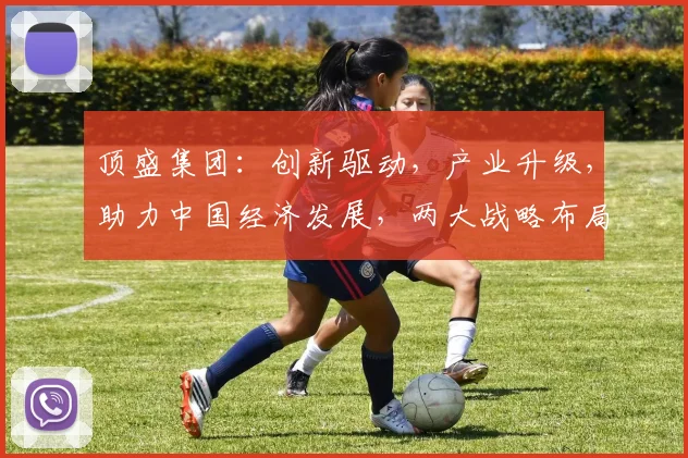 顶盛集团：创新驱动，产业升级，助力中国经济发展，两大战略布局，引领未来