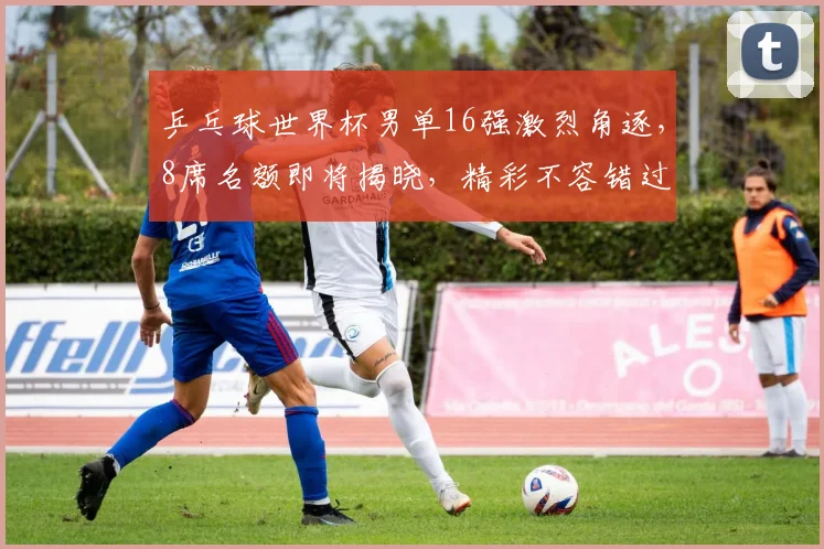 乒乓球世界杯男单16强激烈角逐，8席名额即将揭晓，精彩不容错过